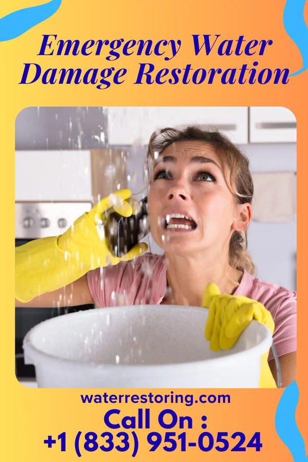 Emergency Water Damage Restoration in Gibson, NC