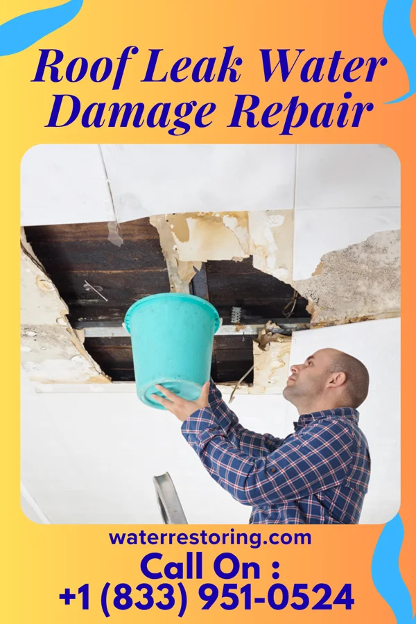 Roof Leak Water Damage Repair in Gibson, NC