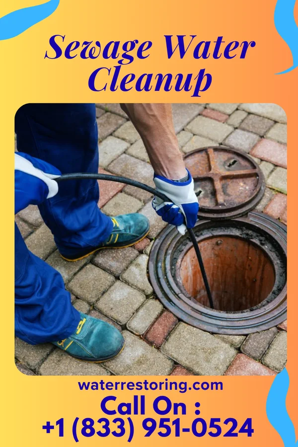Sewage Water Cleanup in Gibson, NC