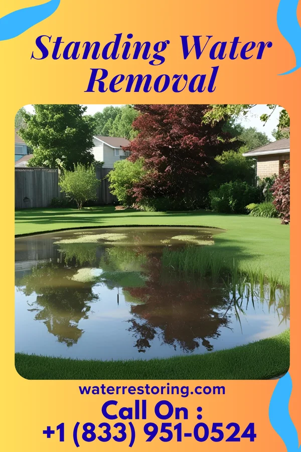 Standing Water Removal in Gibson, NC